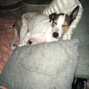 Meet your Posher, Kathleen